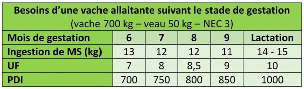 Besoins d'une vache allaitante suivant le stade de gestation