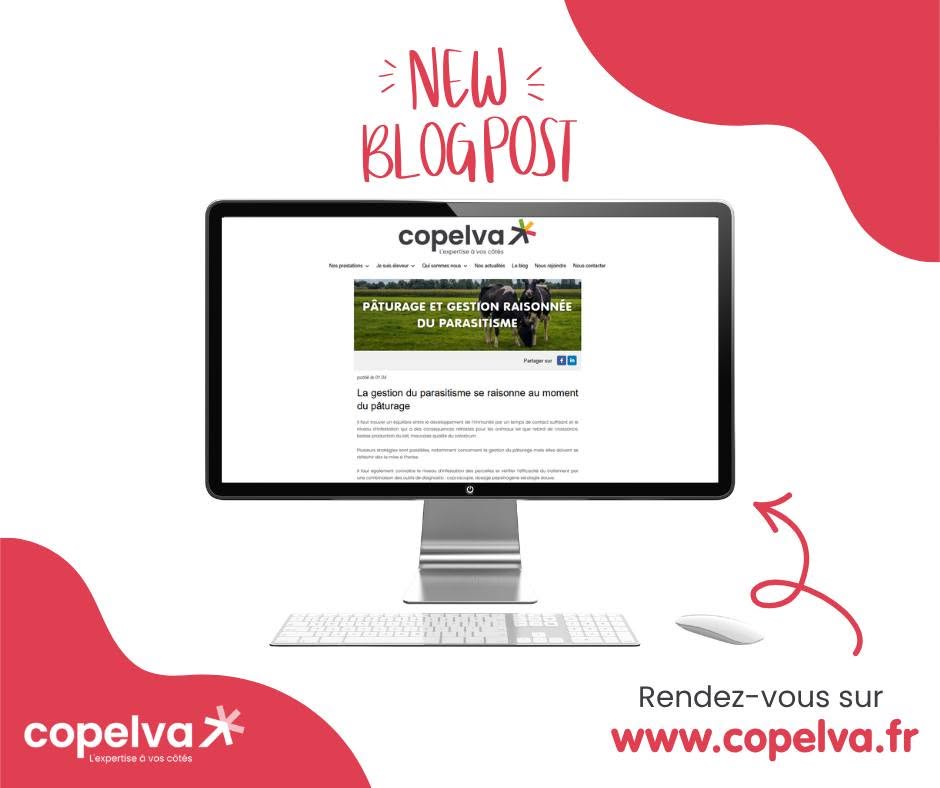 Fourrages / canicule. Retrouvez les conseils de Copelva sur 𝗟𝗲 𝗕𝗹𝗼𝗴 𝗖𝗼𝗽𝗲𝗹𝘃𝗮!